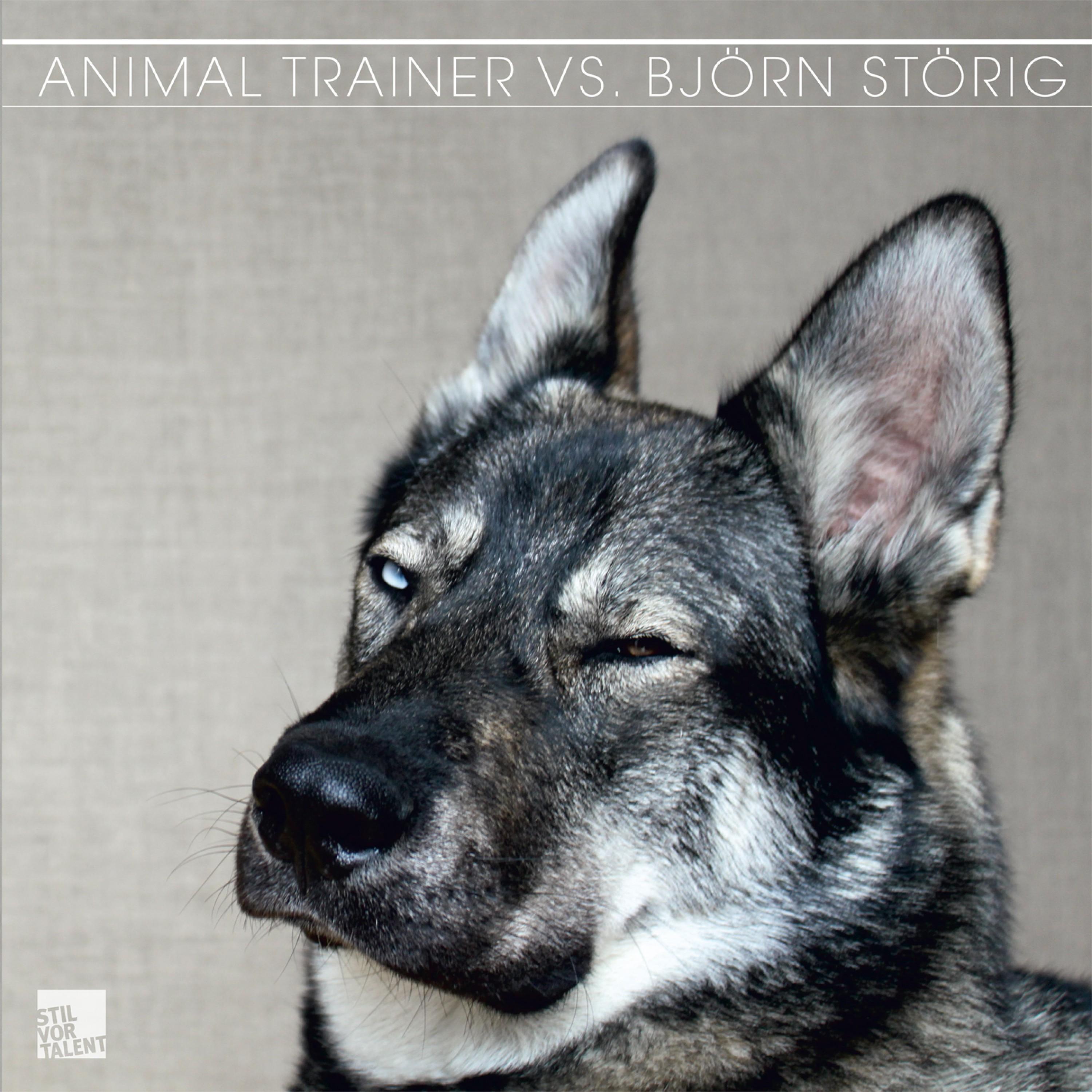 Animal Trainer vs. Bjoern Stoerig