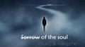 sorrow of the soul专辑