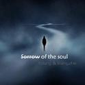 sorrow of the soul专辑