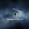 sorrow of the soul专辑