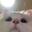 夢酱qwq-