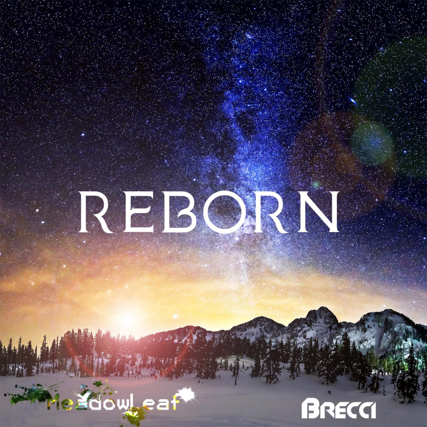 Reborn