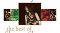 The Galway Girl: The Best of Sharon Shannon专辑