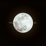 Moon专辑