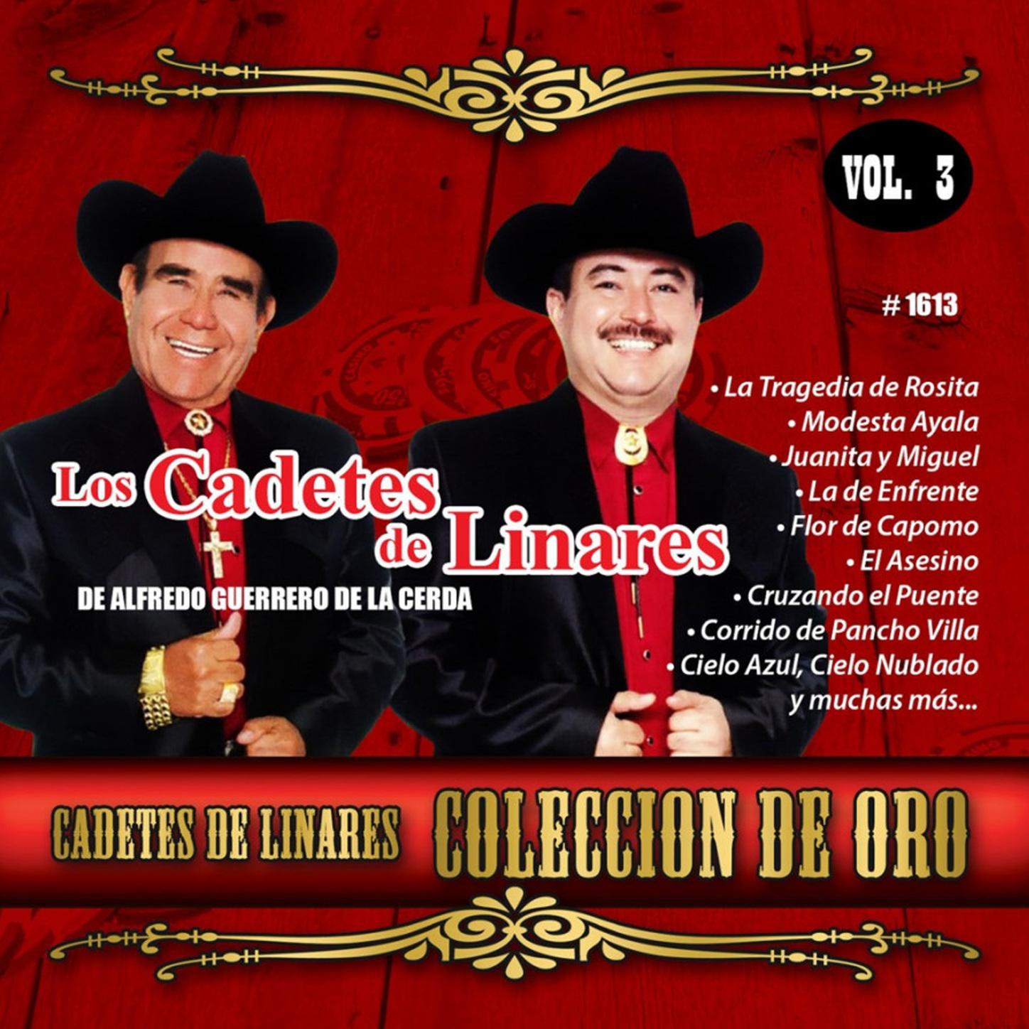 Coleccion De Oro, Vol. 3