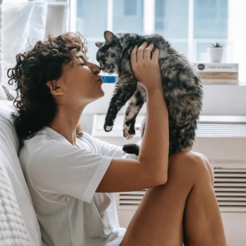 居家时光 | 轻快节奏 和你的猫一起听