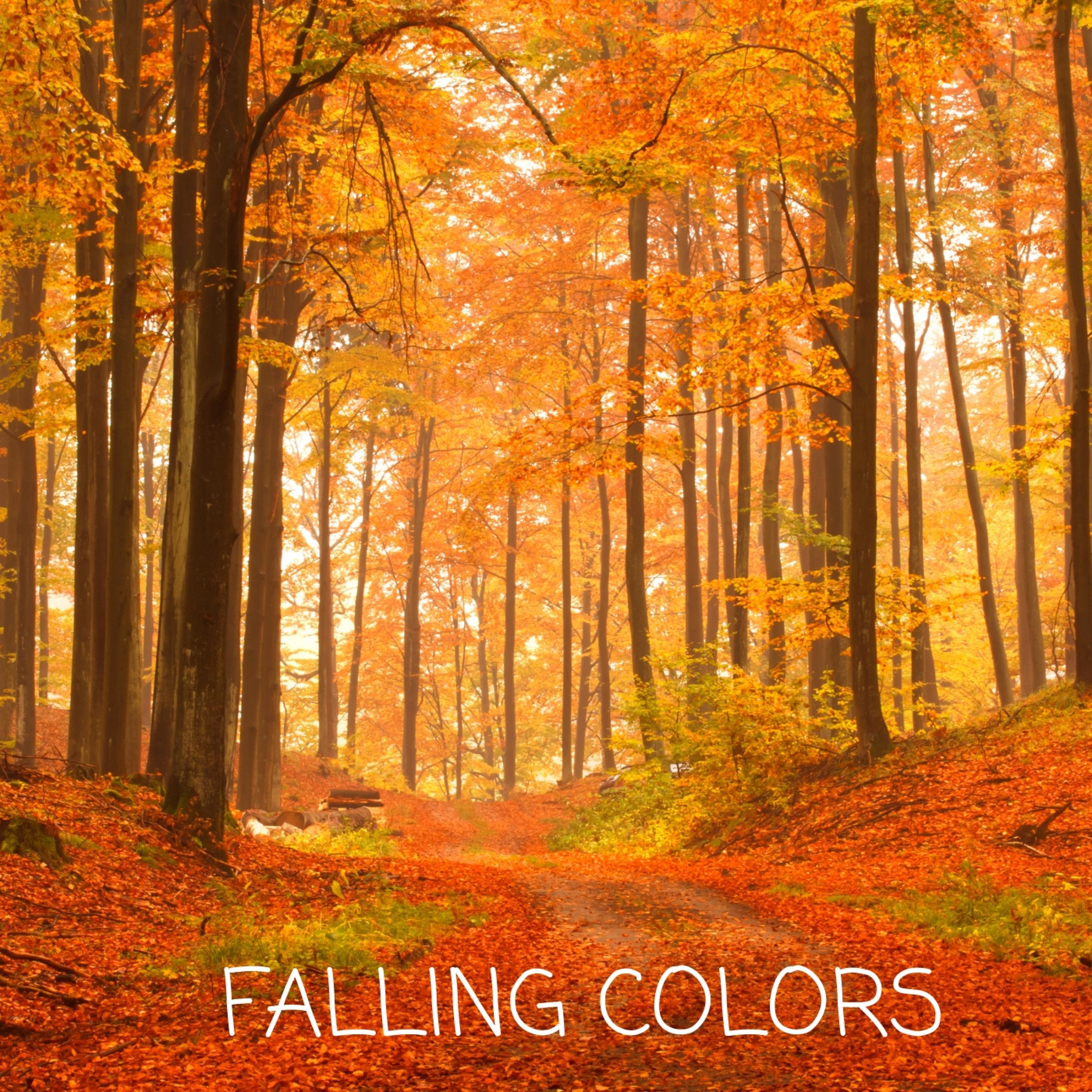 Falling Colors