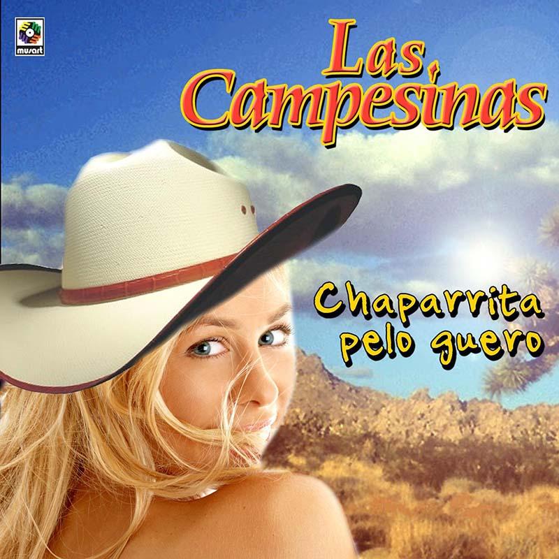 墨西哥街头乐队