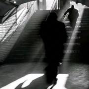 用户404