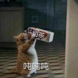 书生:你陪了我多少年