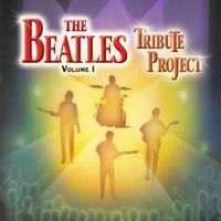Revolution (Acoustic) - The Beatles (karaoke)