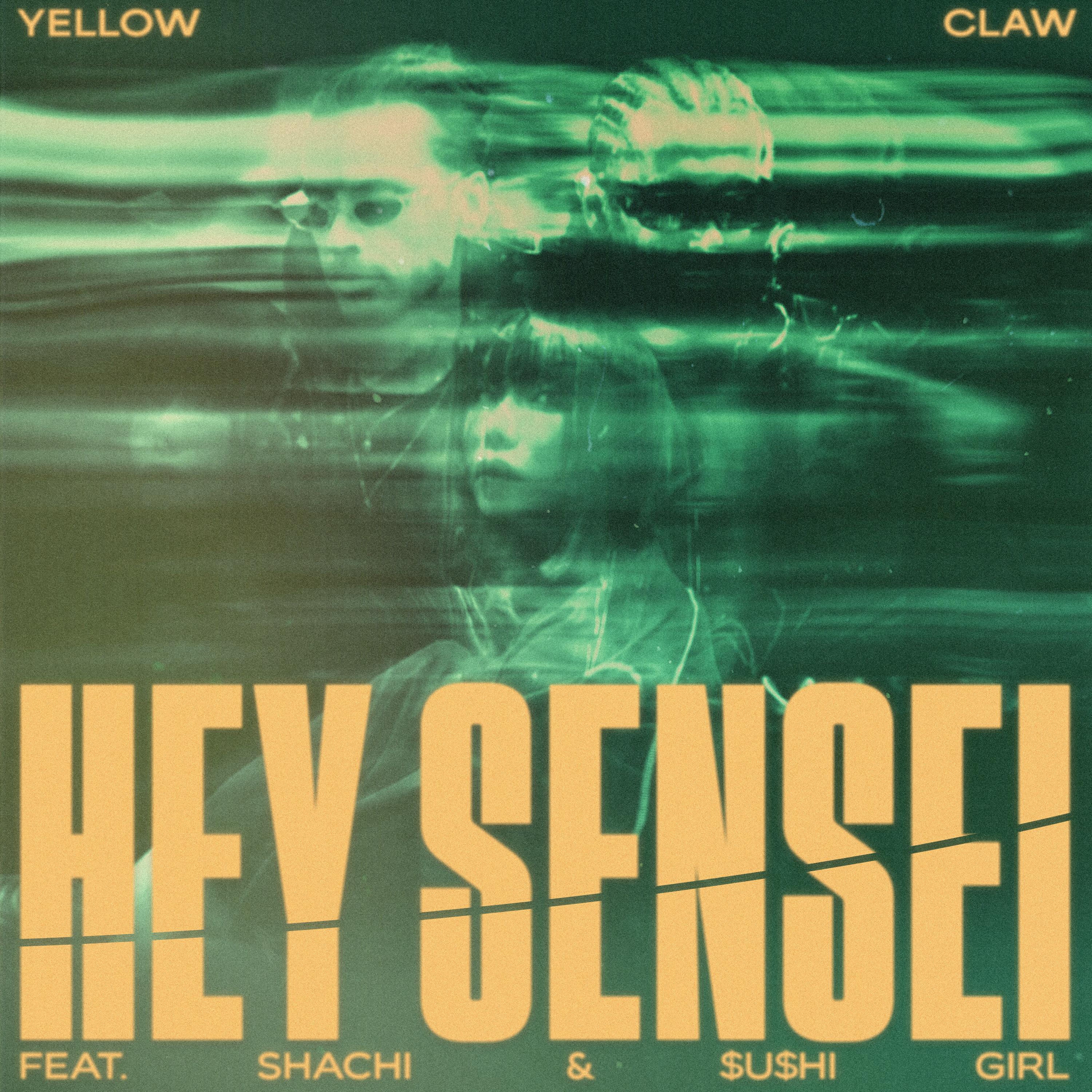 Hey Sensei