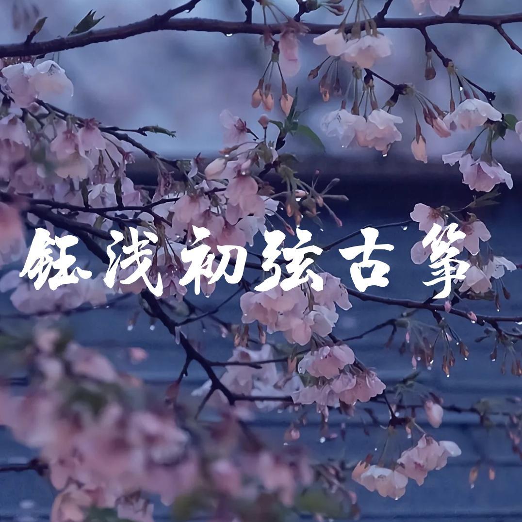 情人咒(翻自 阿云嘎)