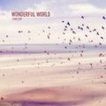 Wonderful World