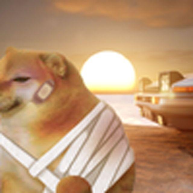 汗流浃背了吧Cheems