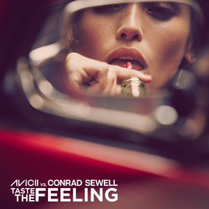 Avicii&Conrad Sewell-Taste The Feeling  立体声伴奏