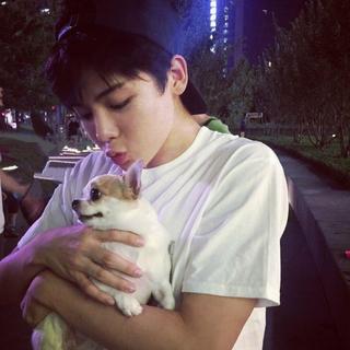 侯明昊〖唱过跳过〗的歌儿呀~wuli猴儿哥