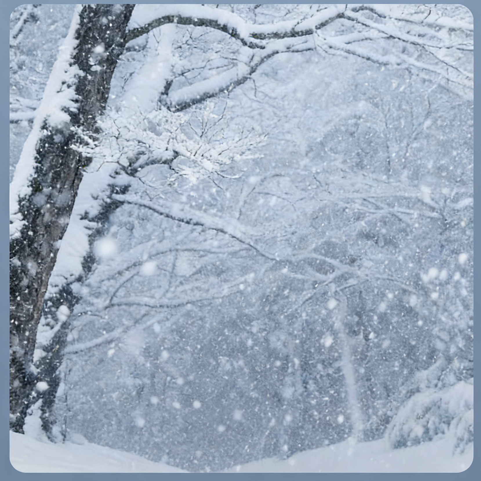 听说下雪季节应该拥抱