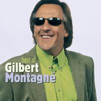 Les Sunlights Des Tropiques - Gilbert Montagne (unofficial Instrumental)