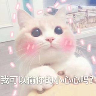 慢慢喜欢你