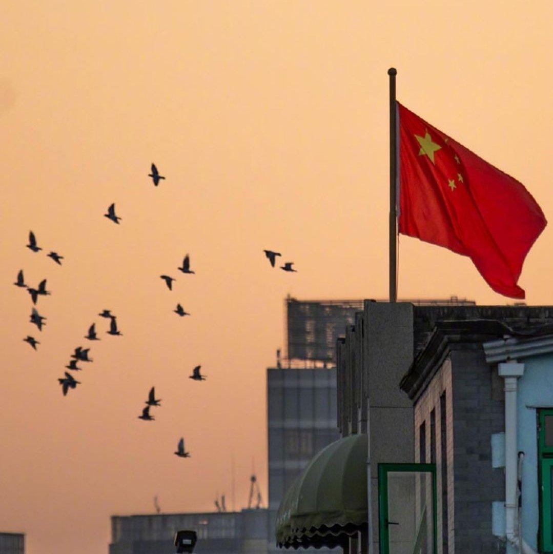 理想主义的花最终会盛开在浪漫主义土壤里