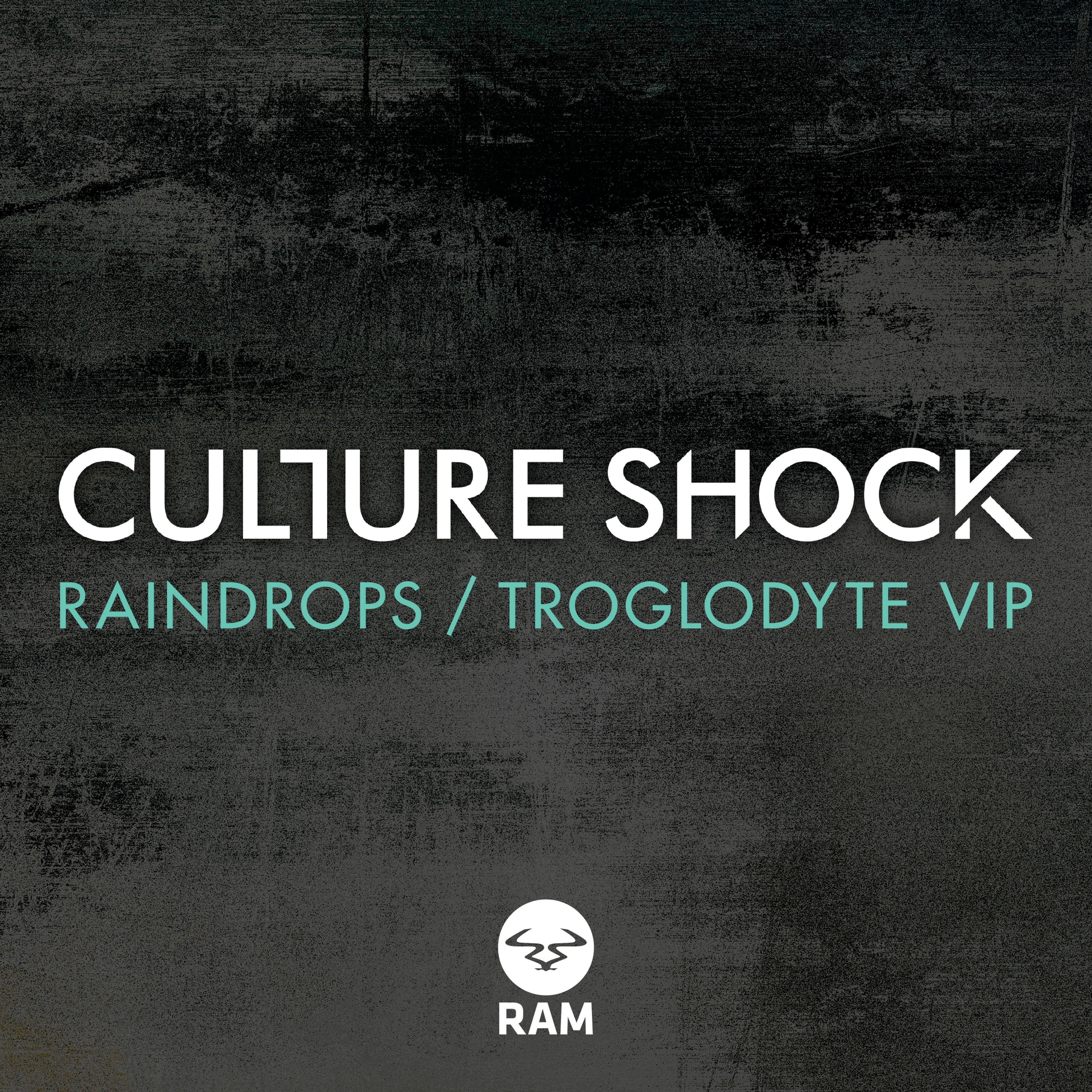 Raindrops / Troglodyte VIP