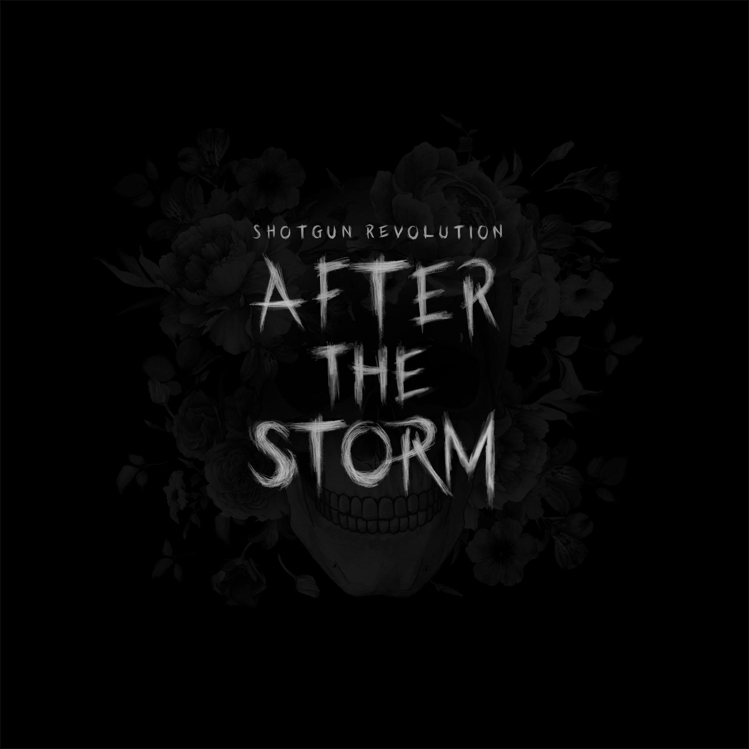 After the Storm