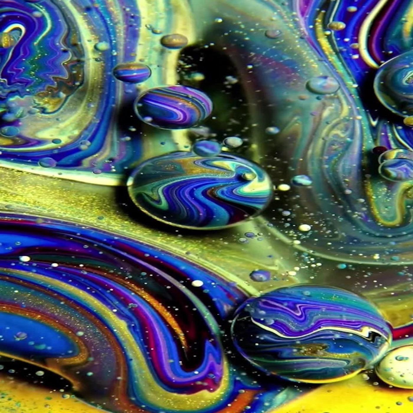 Rabbit Hunt