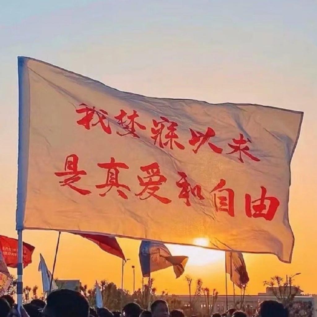 确实 摇滚乐拯救了我