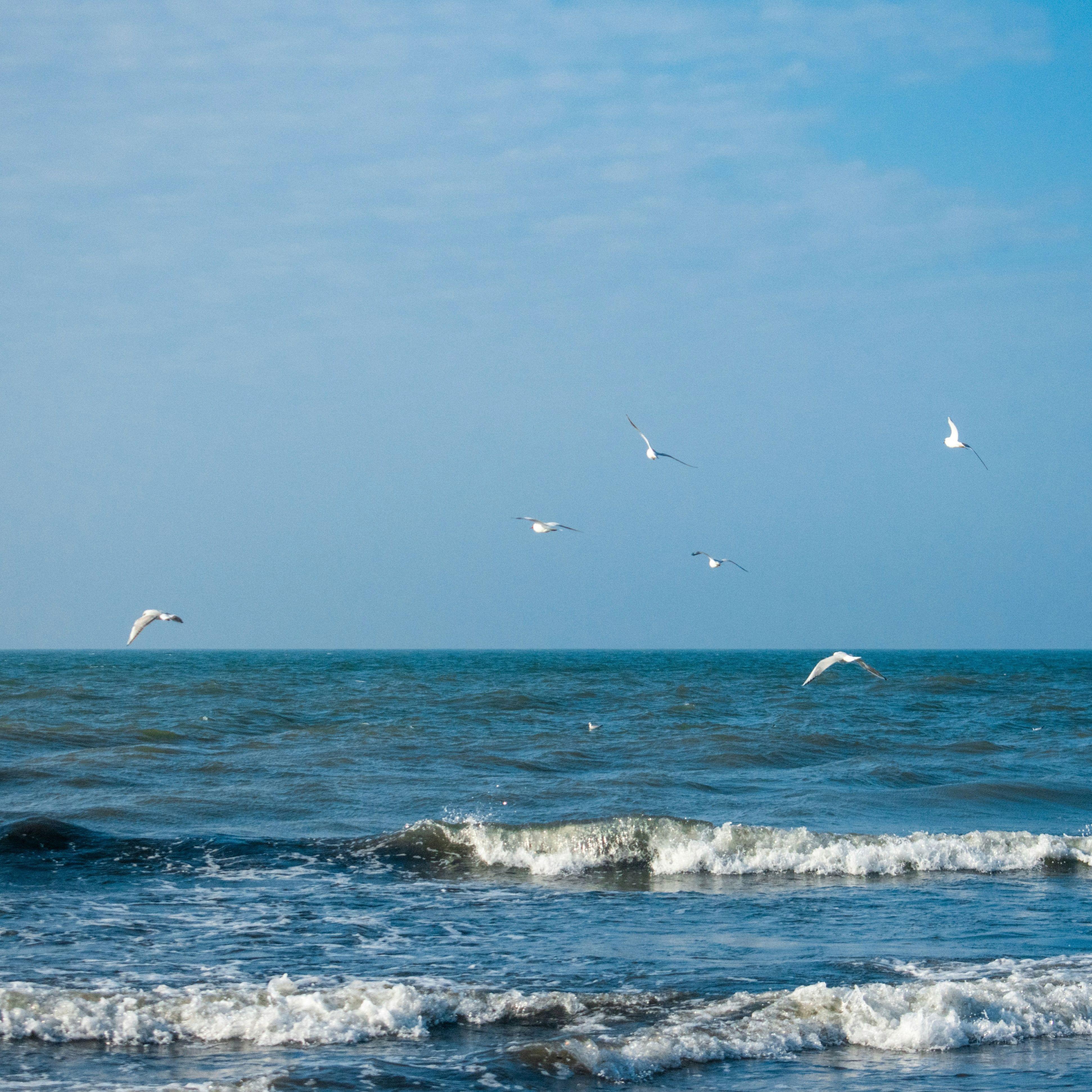 一起去看海吧！