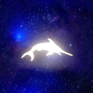 Wandererl · 如梦似幻的流离