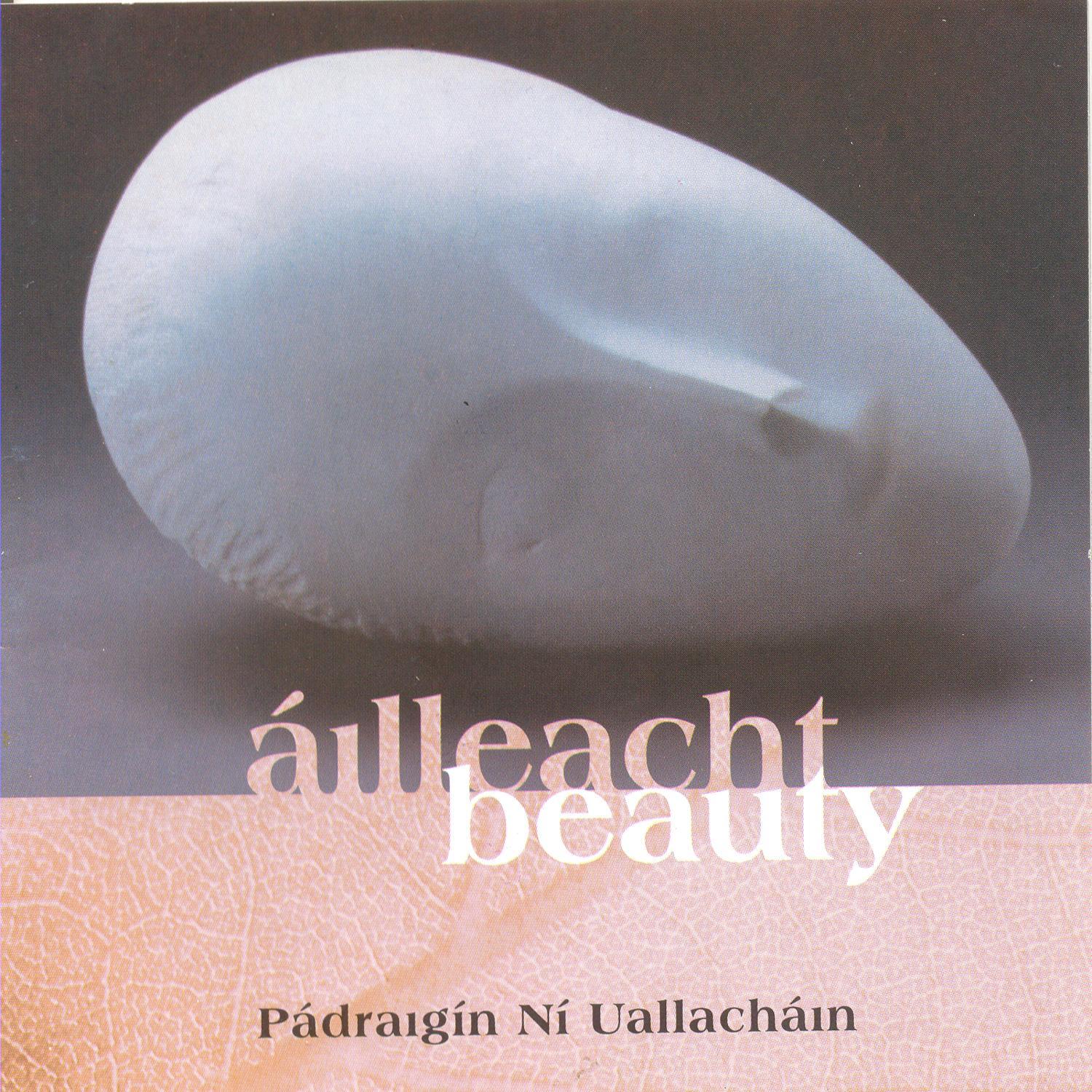 Áilleacht