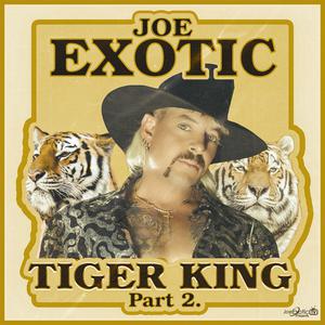 I Saw A Tiger - Joe Exotic (Midland From Tiger King) (Ur Karaoke) 无和声伴奏 （降6半音）