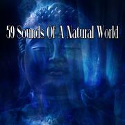 59 Sounds Of A Natural World