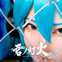 君ノ灯火/革命の轍专辑