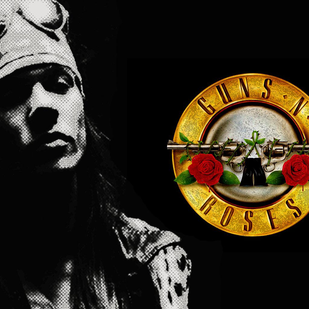 Guns and roses steam фото 31