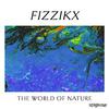 Fizzikx - Deep Fusion