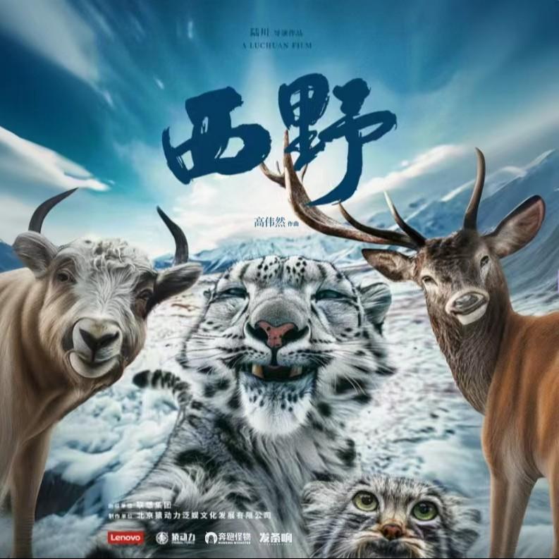 纪录片《西野》原声专辑