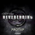 Neverending (PROTIIP Remix)专辑