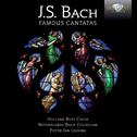 J.S. Bach: Famous Cantatas