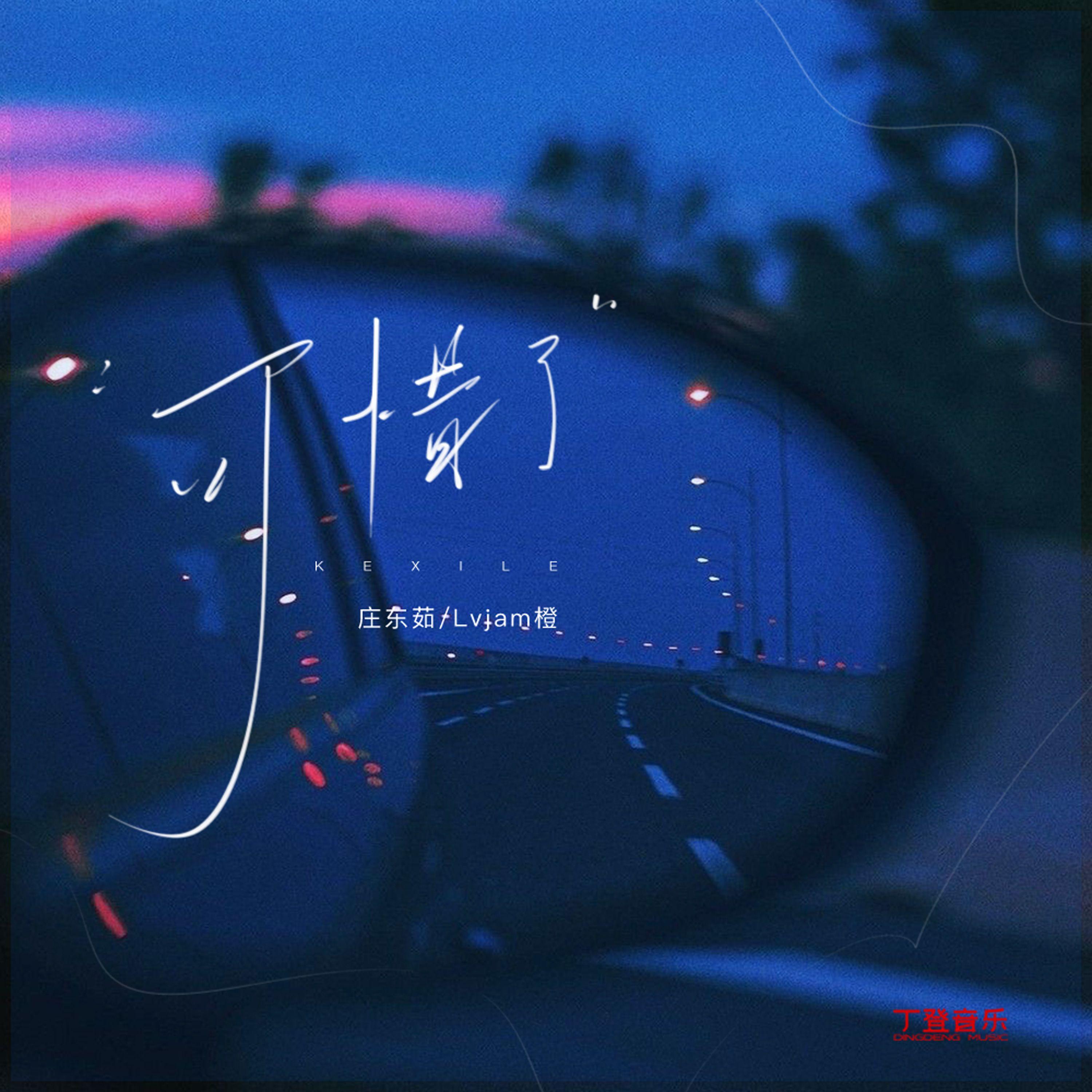可惜了（DJ弹鼓版）