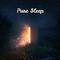 Pure Sleep – Deep Dreams, New Age Music at Goodnight, Calm Melodies, Restful Sleep, Relax专辑