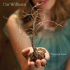 Dar Williams - The Business Of Things