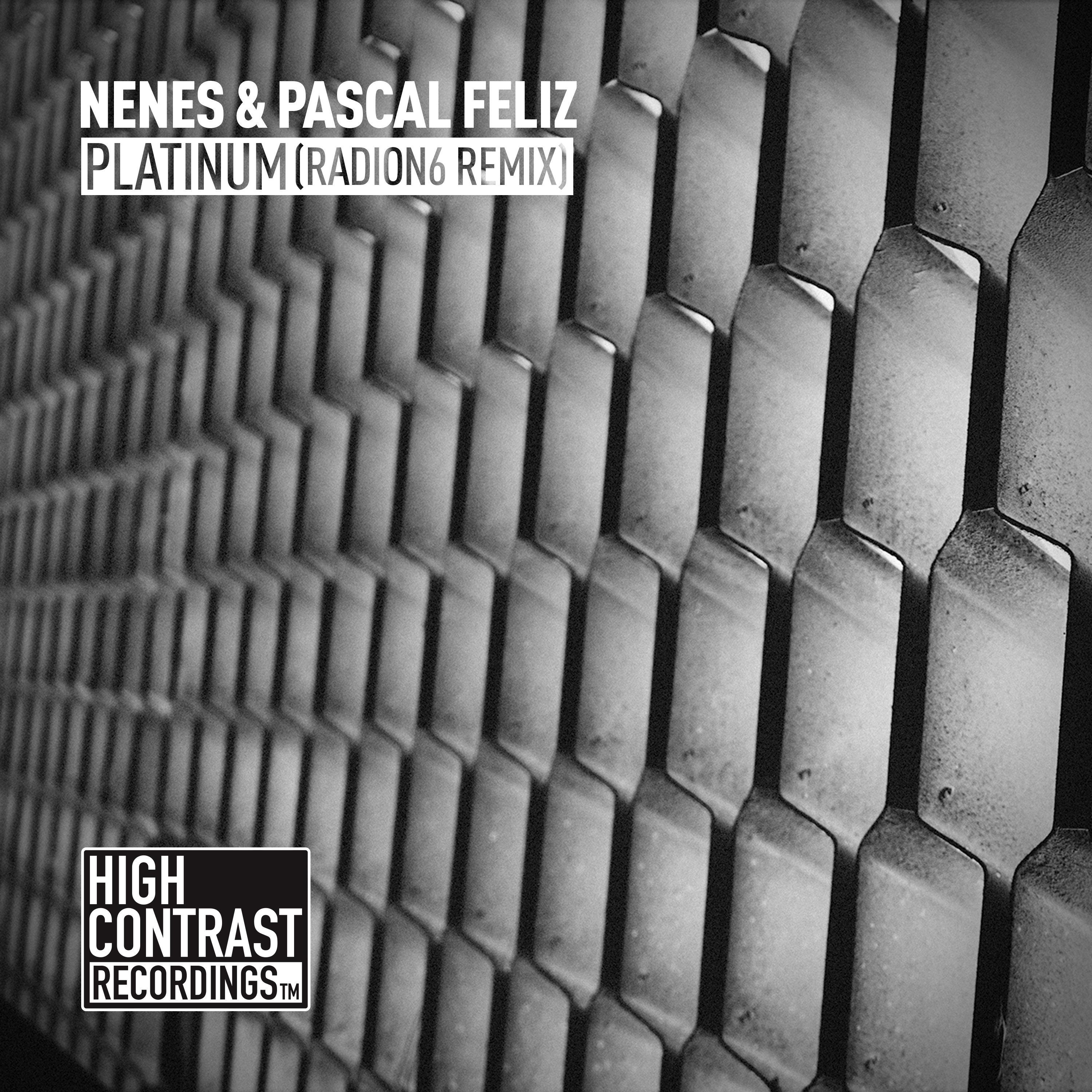 Platinum (Radion6 Remix Extended)