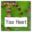 Your Heart