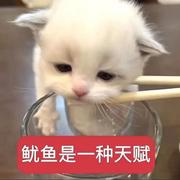 流行华语 || 听多少遍才能释怀歌单