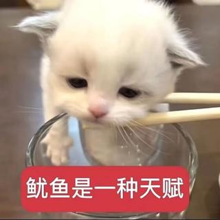 300首流行华语 || 听多少遍才能释怀