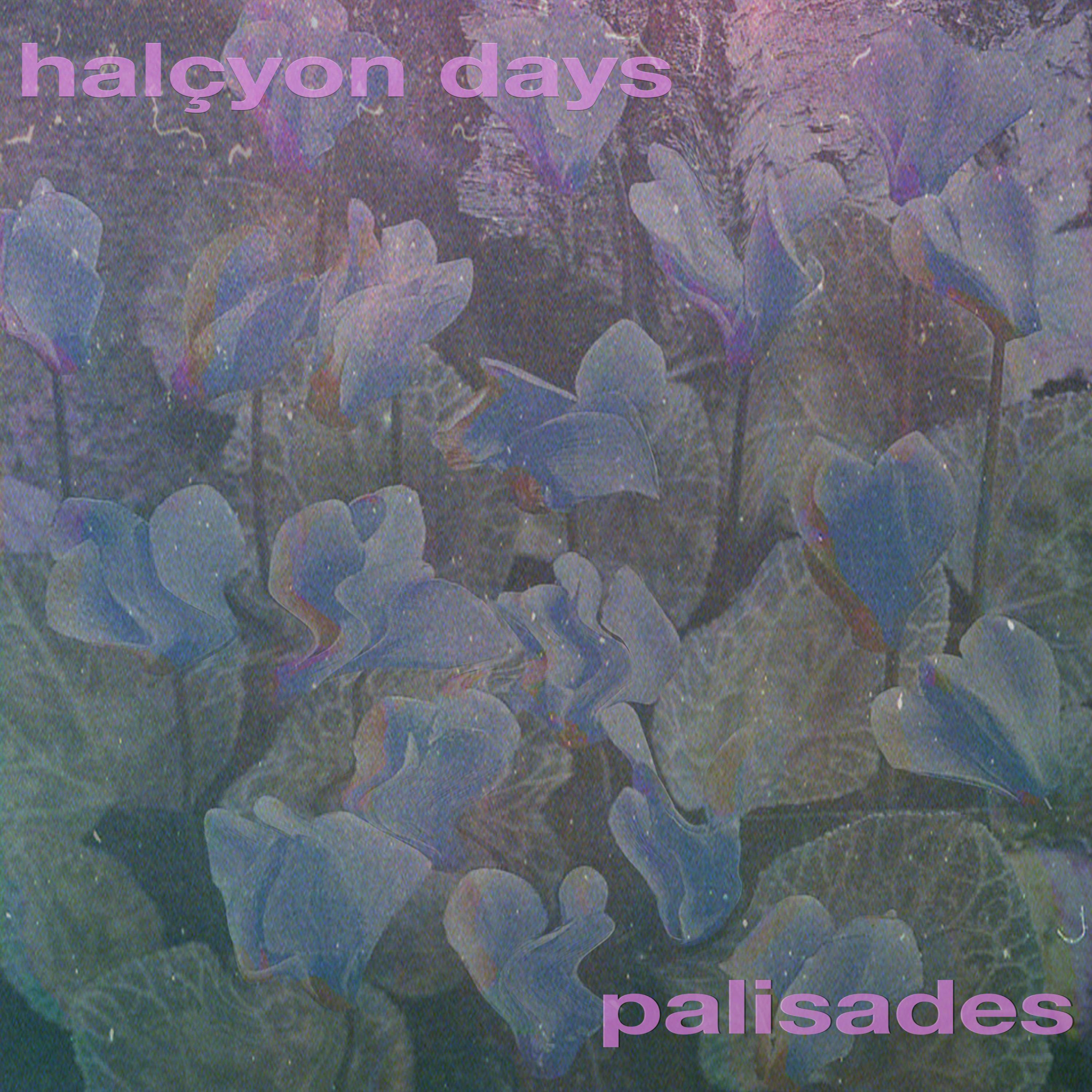 Palisades