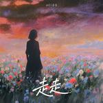 走走专辑