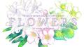 FLOWERS ORIGINAL SOUNDTRACK -AUTOMNE-专辑